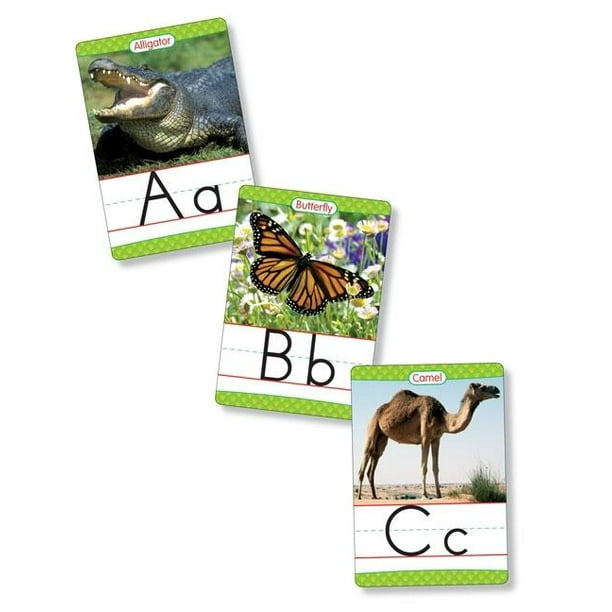 Animals from A to Z Manuscript Alphabet Set: 26 Ready-To-Display Letter  Cards with Fabulous Photos of Animals (Other) 