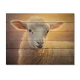 thumbnail image 3 of Designart "Pastel Sheep Portrait" Animals Print on Natural Pine Wood, 3 of 5