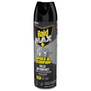 Raid MAX Indoor & Outdoor Spider & Scorpion Killer Bug Spray, 12 oz