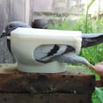 thumbnail image 3 of Walbest Pigeon Holder Plastic Hollow Pigeon Fixed Frame Feeding Supplies, 3 of 7