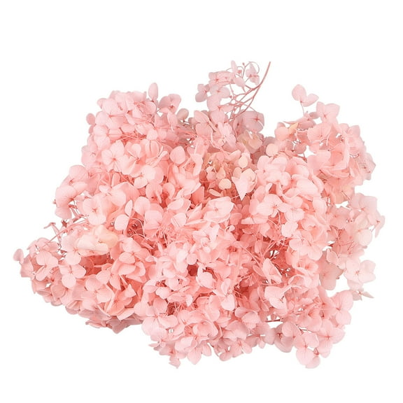 Toyvian 1 Pack of 20g Dried Hydrangea Petals Natural Fresh Preserved Flowers for DIY Crafts (Pink)