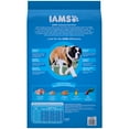 thumbnail image 2 of IAMS PROACTIVE HEALTH Large Breed Adult Healthy Weight Dry Dog Food Chicken, 15 lb. Bag, 2 of 12