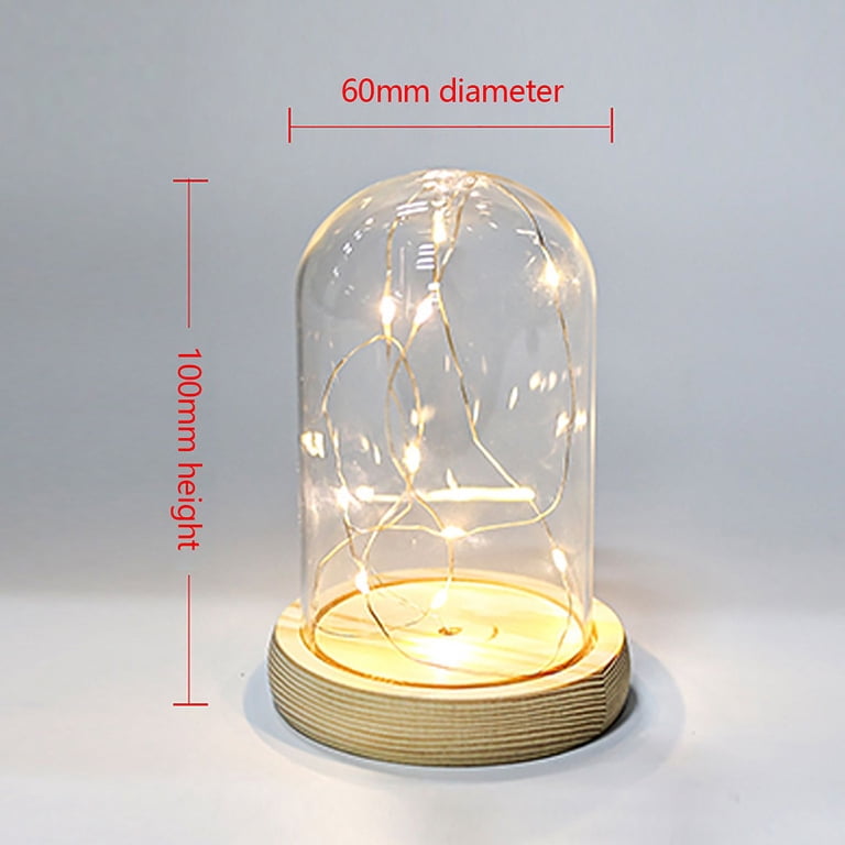 Cloche En Verre Dôme Avec Base Bois – 18 Cm De Hauteur, Idéale Pour Protéger Et Exposer Plantes, Figurines Et Objets De Collection