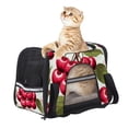 thumbnail image 6 of Cherry 900D Oxford Cloth Pet Carrier for Small Dogs and s - Durable Fabric Travel Bag with Nylon Webbing Handles - 17x10x11.8 Inches, Black, 6 of 7