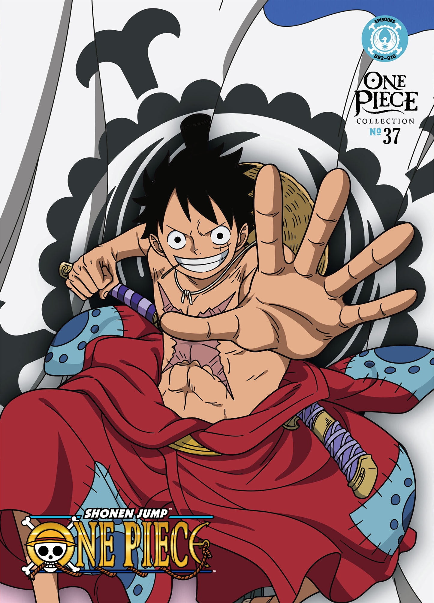 One Piece: Collection 37 (Bluray + DVD) - Walmart.com