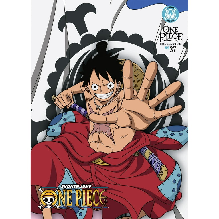 One Piece: Collection 37 (Bluray + DVD) - Walmart.com