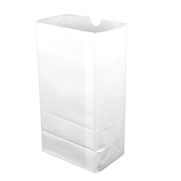 White Paper Grocery Bags - 5” x 3 ?” x 9 ¾” (1000 Bags/Case) - STOR-92304
