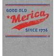 thumbnail image 2 of Americana Good Old 'Merica Since 1776 Heather Gray Adult Long Sleeve Hoodie-Small, 2 of 3
