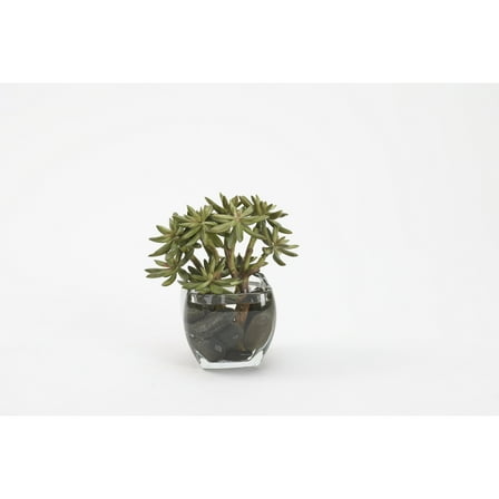 D&W Silks Succulent Spray in Glass Cube