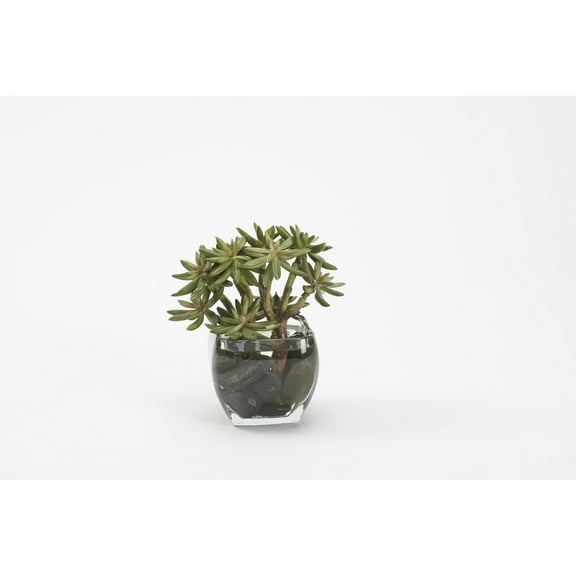 D&W Silks Succulent Spray in Glass Cube