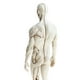 thumbnail image 4 of Figura de anatomía humana Sunnimix Modelo Masculino blanco, 4 of 8