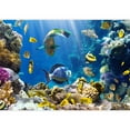 thumbnail image 2 of wall26 - Photo of a Tropical Fish on a Coral Reef - Removable Wall Mural | Self-Adhesive Large Wallpaper - 66x96 inches, 2 of 6