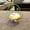 Yellow, variant on Funny Toys Cat In The Lace Hanging Doll Toy Mini Cat In Shoe With Meows Sounds Sleeping Cute Kitty Toys For Kids Boys Girls