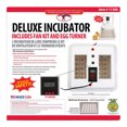 thumbnail image 4 of Little Giant 11300 Deluxe Digital Incubator w/ Fan Automatic Egg Turner (2 Pack), 4 of 9