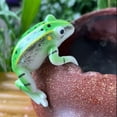 thumbnail image 6 of Miommo&nbsp;Frog Resin Planter Pot Hugger – Creative Animal Garden Decor for Indoor/Outdoor Use – Cute Climbing Sculpture Pot Hanger for Flower Pots, Balconies, and Courtyards, 6 of 9