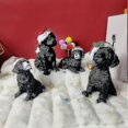 thumbnail image 3 of Pelota Y Gorro Perro Rata, 3 of 5