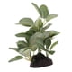 thumbnail image 5 of Plantas Plantas Artificiales Plantas Acuáticas Plantas Decorativas para Acuario Terrario Zulema  Plantas de agua de vivero de reptiles, 5 of 8