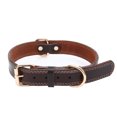 thumbnail image 1 of Collar de cuero para perro, cuero genuino, herrajes de aleación, doble anilla en D, 3 ideal para perros medianos, 1 of 5