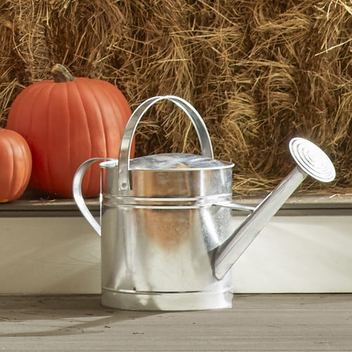 Arcadia Garden Products 2 Gallon Watering Can by Arcadia Garden Products