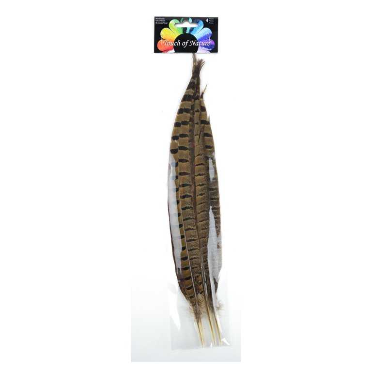 Ringneck Pheasant Feathers