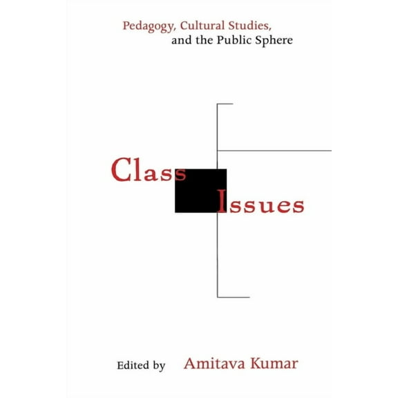 Class Issues: Pedagogy, Cultural Studies, and the Public Sphere, (Paperback)