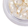 thumbnail image 2 of Limei Great Nail Charm Shining Visual Effect for Nail Salon Decorative, 2 of 7