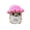 Pink, variant on Novelty Funny Toy - Handmade Positive Message Dolls for Home and Birthday Ideas