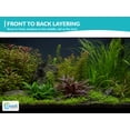 thumbnail image 2 of Canton Aquatics Beginner Live Aquarium Plants Bundle, Aquarium Plant Decoration, with insulated mailer, Green, 10 Count, 2 of 10