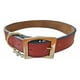 thumbnail image 1 of Urban Dog Collar Para Perro Liso 100% Piel Ch, G, Xg, 1 of 3
