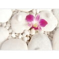 thumbnail image 2 of wall26 - Pink Orchid Over White Rocks - Wall Mural, Removable Sticker, Home Decor - 66x96 inches, 2 of 6
