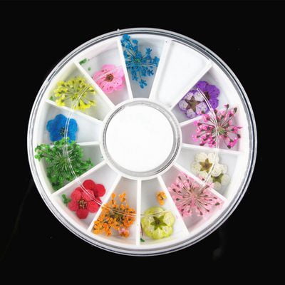 Pwfe 12pcs Real Dried Dry Flowers 3d Nail Art Decoration Design Diy Tips Manicure Walmart Com Walmart Com
