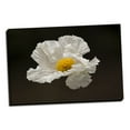 thumbnail image 2 of Gango Home Decor Floating Matilija I by Rita Crane (Ready to Hang); One 36x24in Hand-Stretched Canvas, 2 of 4