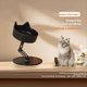 thumbnail image 4 of de Cerámica para Mascotas, Comederos para Gatos, Bebederos, Antibarbilla Negra y Antivuelcos., 4 of 6