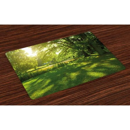 Green Placemats Set of 4 Summer Park in Hamburg Germany Trees Sunlight Forest Nature Theme Scenic Outdoors Picture, Washable Fabric Place Mats for Dining Room Kitchen Table Decor,Green, by (Best Places To Go In Hamburg)