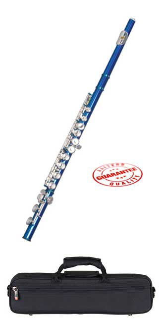 Hawk Nickel Plated Closed Holed Student Flute with Case 