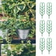 thumbnail image 4 of Moyic Robusto marco de escalada para plantas para un crecimiento saludable y una protección eficaz, accesorios para plantas, soporte para Jardín y Patio solo10*34.5 cm 32g, 4 of 6