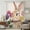 Beige, variant on Easter Bunny Sheer Curtains 54 Inches Long, Spring Colorful Daisy Flowers Rabbit Wood Plank Light Filering Curtains, Breathable Simi Curtain Privacy Drapes for Kitchen Bathroom Small Window Treatment