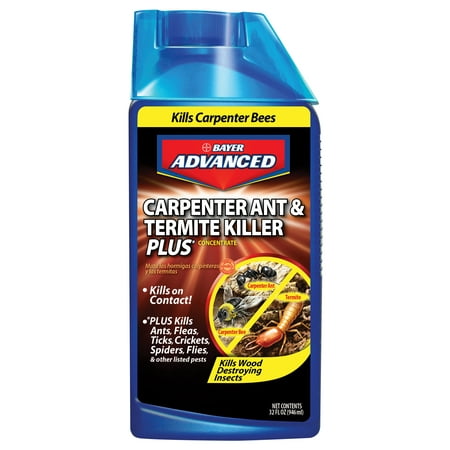 Bayer Carpenter Ant and Termite Killer (The Best Termite Treatment)
