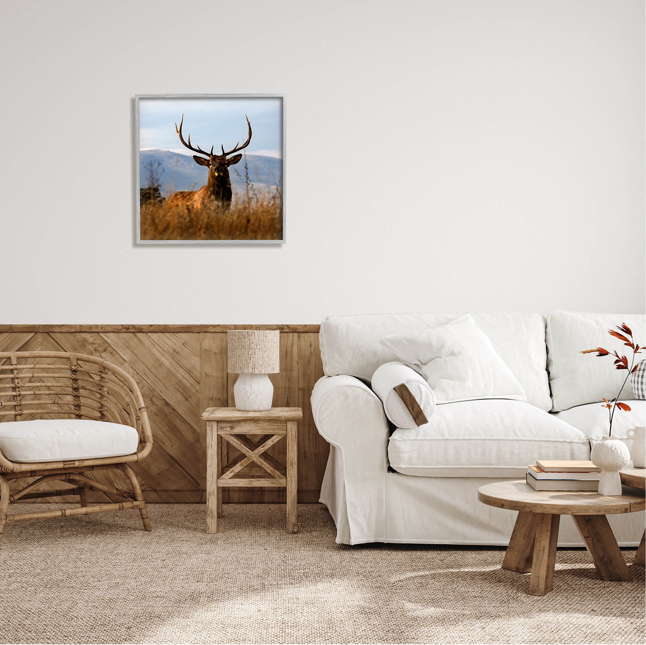 Stupell Industries Buck in Tall Grass Landscape Photograph Gray Framed Art Print Wall Art, Design by Danita Delimont