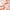 Orange, variant on Dalrosia Holographic Paper Garland Shiny Iridescent Circle Dots Party Streamer Banner Backdrop Hanging Decorations, 13FT in Total