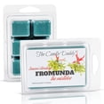 thumbnail image 2 of Fromunda The Mistletoe - Funny Christmas Mistletoe Scented Wax Melts - 1 Pack - 2 Ounces - 6 Cubes, 2 of 5