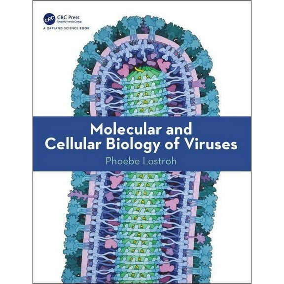 Molecular and Cellular Biology of Viruses (Paperback)