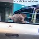 thumbnail image 2 of Calcomanías para ventana de coche con diseño divertido de perro pug y caracol en 3D para decoración de pared del hogar, 2 of 5