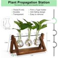 thumbnail image 3 of Estación de propagación de Plantas, Terrario con Soporte Madera Jarrón Hidropónica Florero Cristal, Jarrones Vidrio Macetas con Bombillas para Decoración, 3 of 4