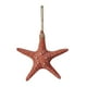 thumbnail image 1 of Adorno colgante de pared de , playa, mar Tropical, decoración de , naranja Gloria Colgante de pared de estrella de mar, 1 of 8