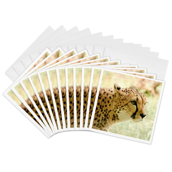3drose, Cheetah, 12 Greeting Cards with Envelopes