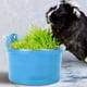 thumbnail image 5 of Comedero para loros Blue Bird de fácil instalación, doble taza de agua y comida para pájaros domésticos, 5 of 8