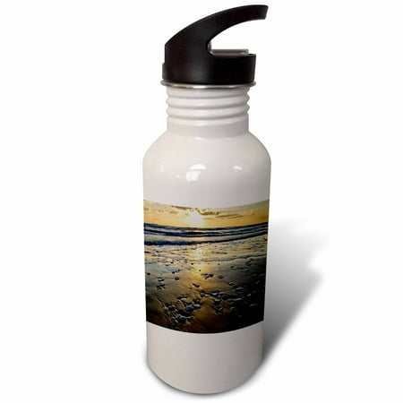 

3dRose Beach seashells Padre Island Gulf of Mexico Texas - US44 LDI0021 - Larry Ditto Sports Water Bottle 21oz