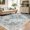 BrownGreen, variant on 2x3 Area Rug Big Carpet for Living Room Bedroom Home Decor Washable Oriental Vintage Floral Distressed Rugs Large Indoor Carpets with Non Slip Back for Dining Room Office Floor-PinkBlue