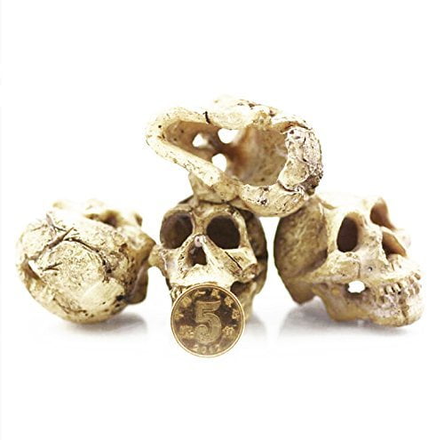 3Pcs Reptile Terrariums Decor Aquarium Fish Tank Ornament Head Bone Skull 